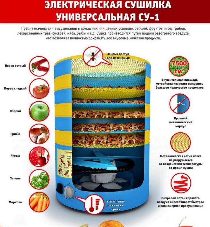 Сушилка овощей СУ-1 (30 литров)